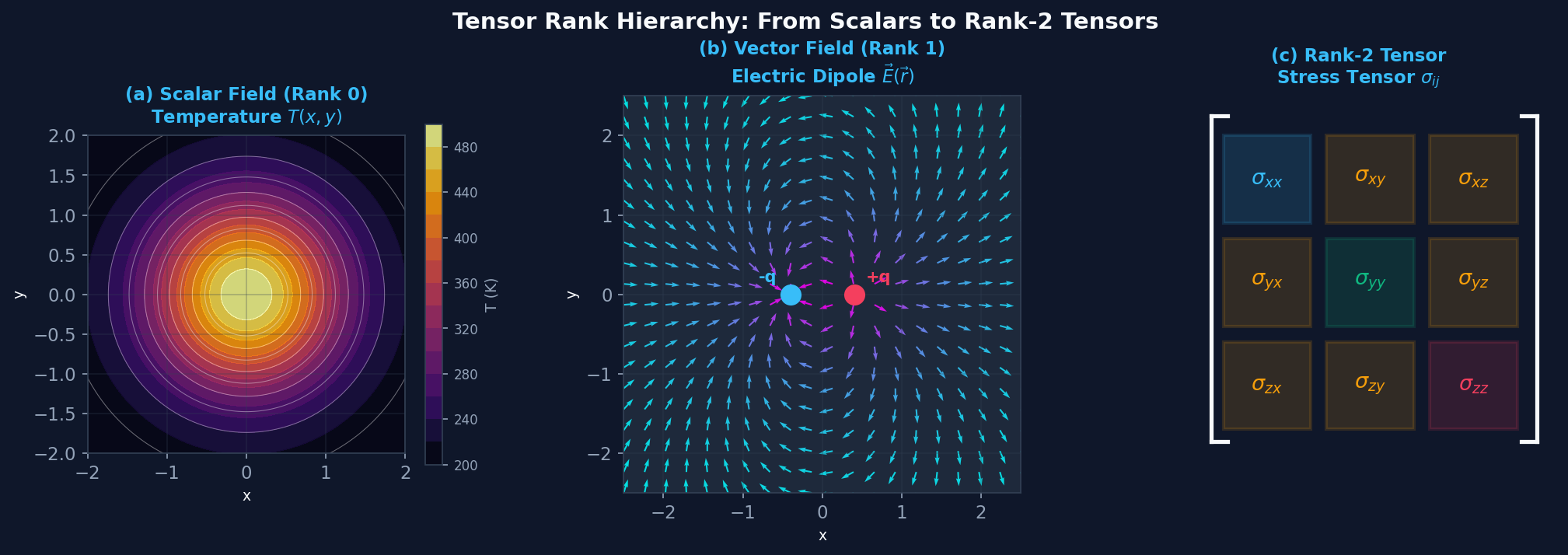 Tensor Basics and Rank Hierarchy